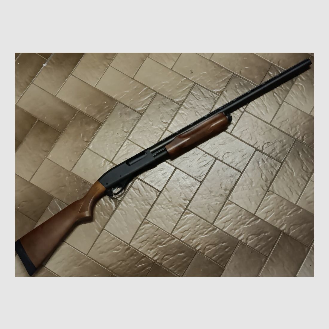 Remington Arms Company 870 Express Magnum