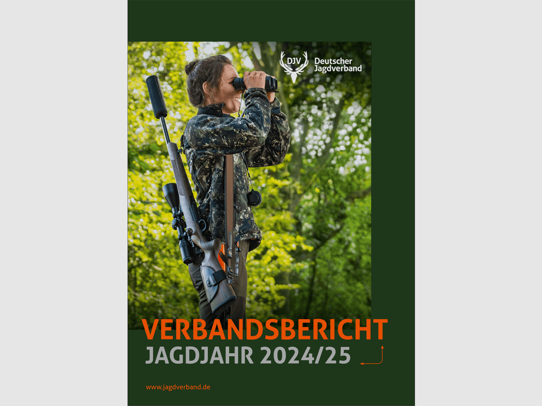 Raport stowarzyszenia DJV 2024/2025
