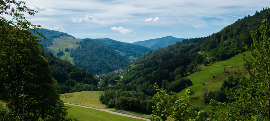 Jachtseizoenen Baden-Württemberg