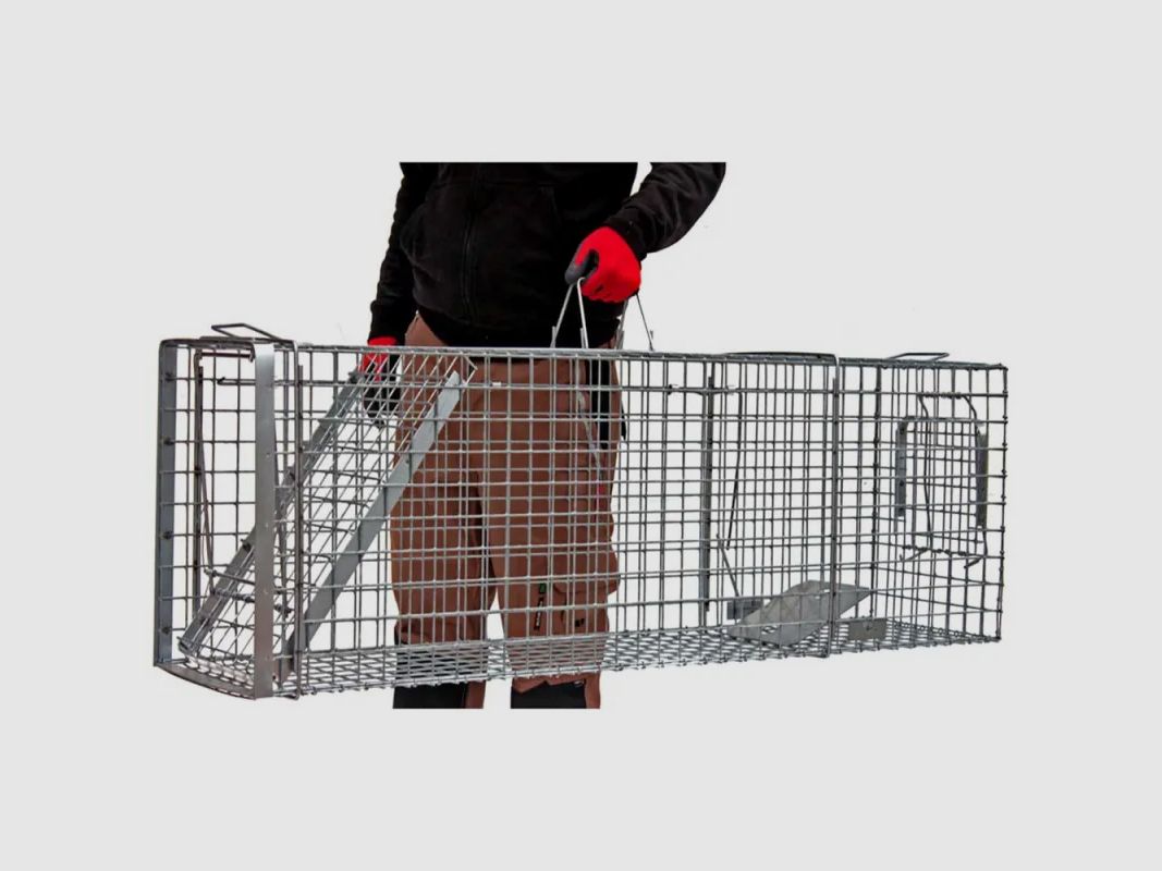 Fangkäfig Hardy 3 Federn Falle 60° 120x34x42cm, Bild 2 von 5