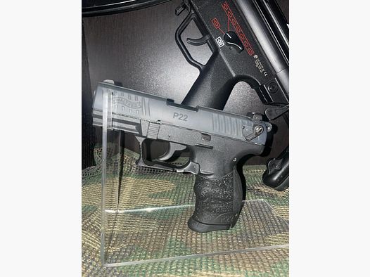 P22q