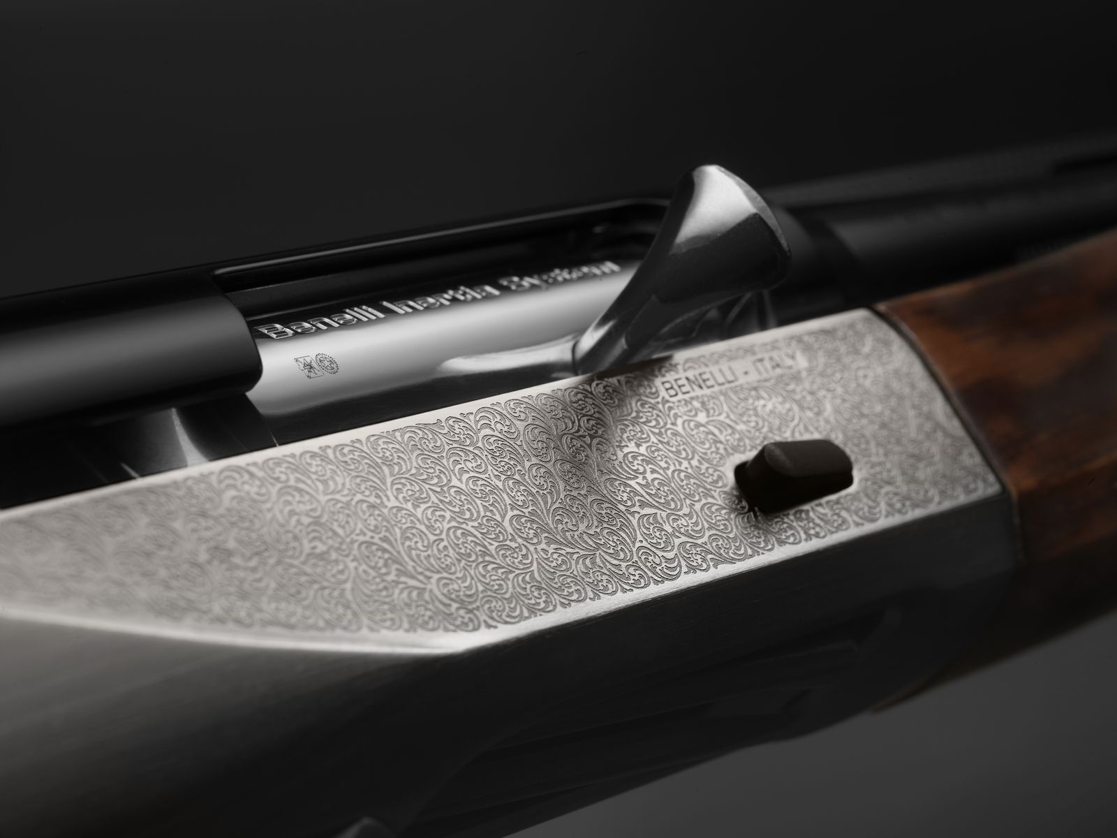 BENELLI RAFFAELLO ETHOS 20, immagine 2 di 3