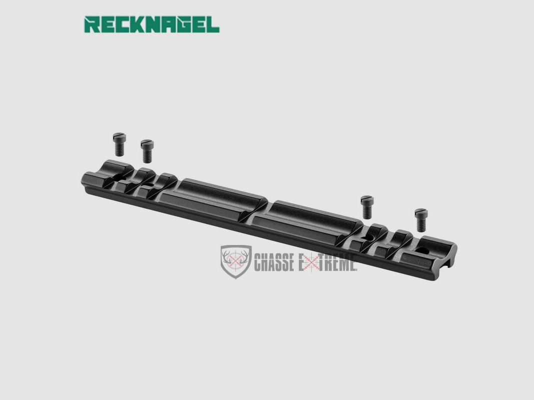 Rail Long Picatinny RECKNAGEL Fair/Rizzini