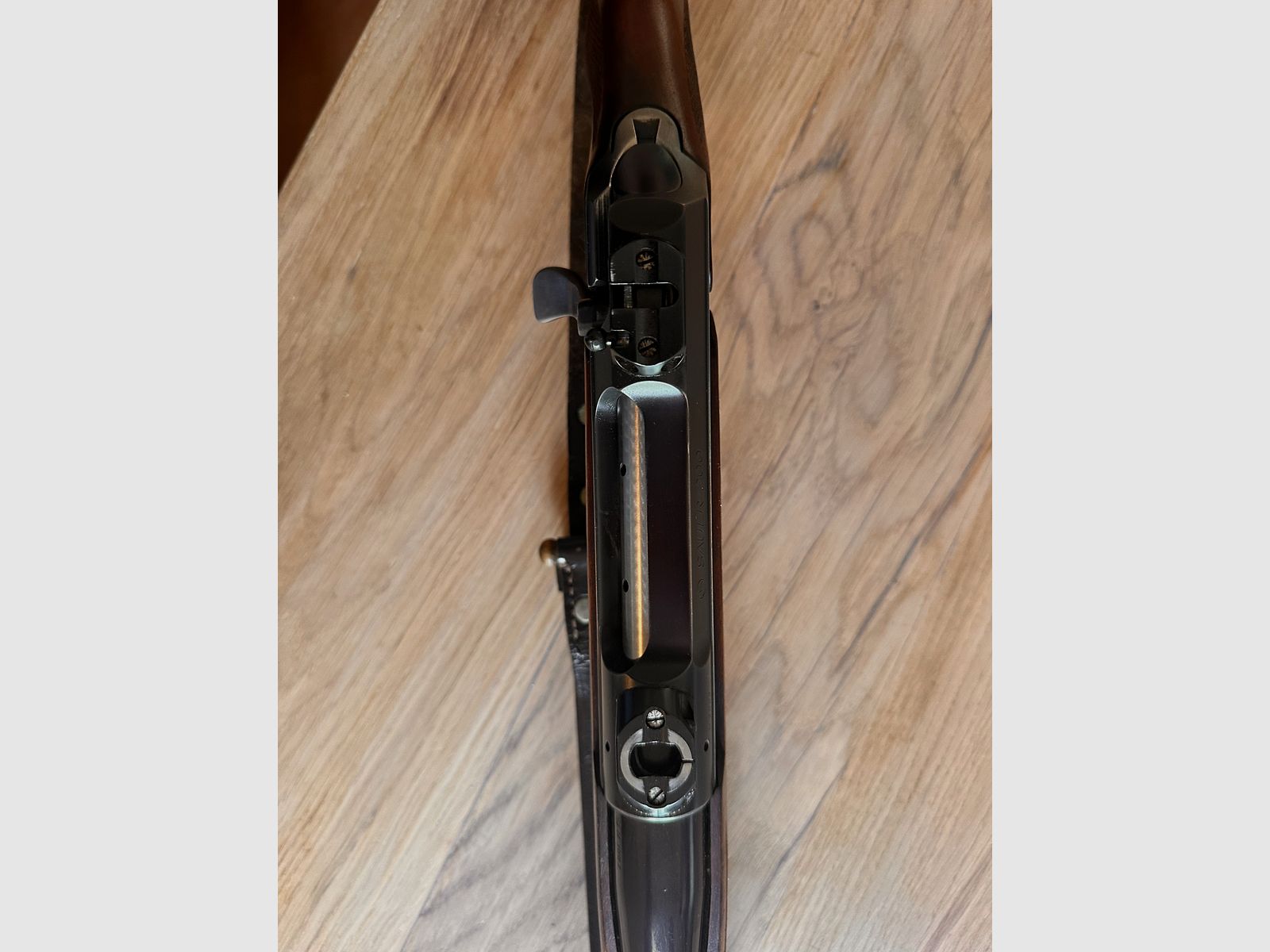 Sauer 200 .30-06