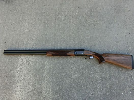Blaser F16 Juego