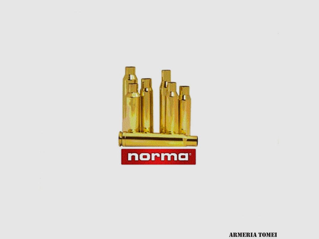 NORMA – HÜLSEN Kal. 7,5×55 (100 Stk.), Bild 1 von 2
