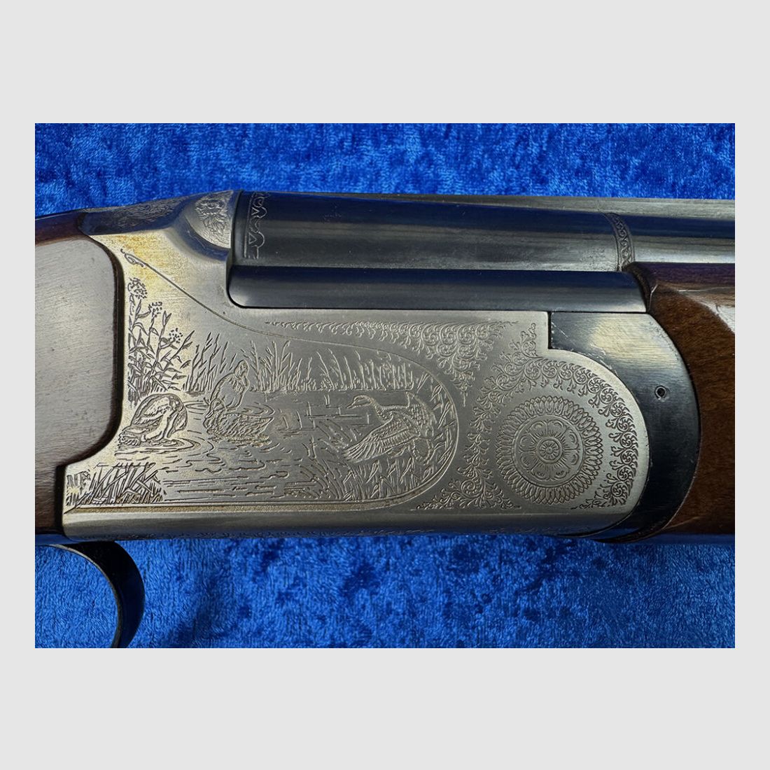 Kettner BDF