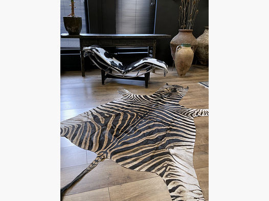 Zebra-Teppichpräparat