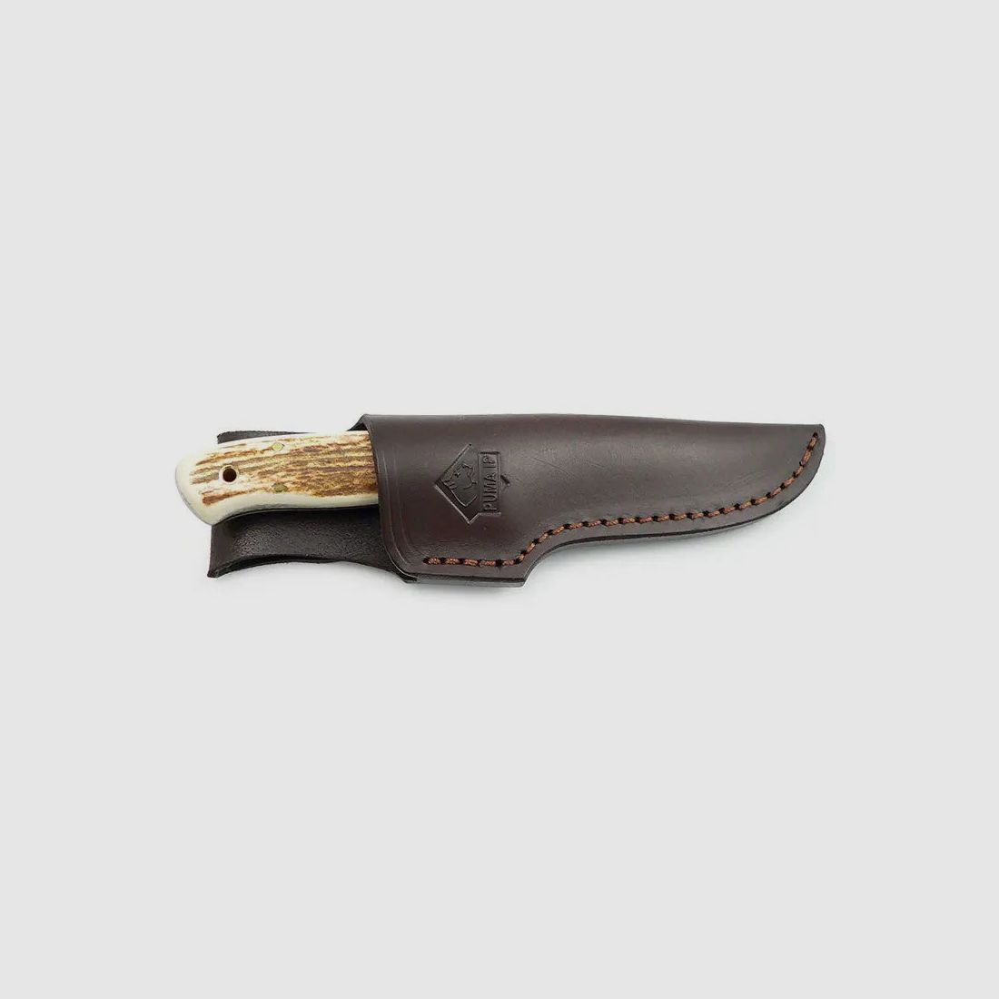 PUMA IP elk hunter, stag