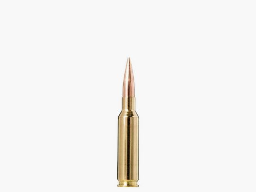 Norma Ammo 6.5 Creedmoor Golden Target 8.4 g / 130 gr VE20