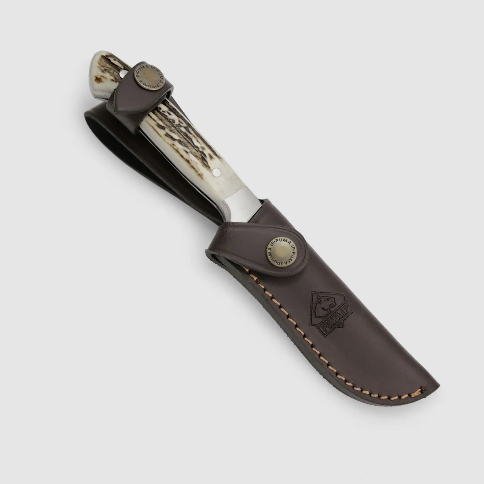 PUMA IP pal 240, stag horn