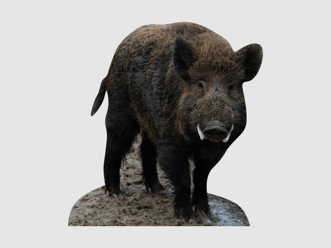 Tieraufsteller Wildschwein Keiler