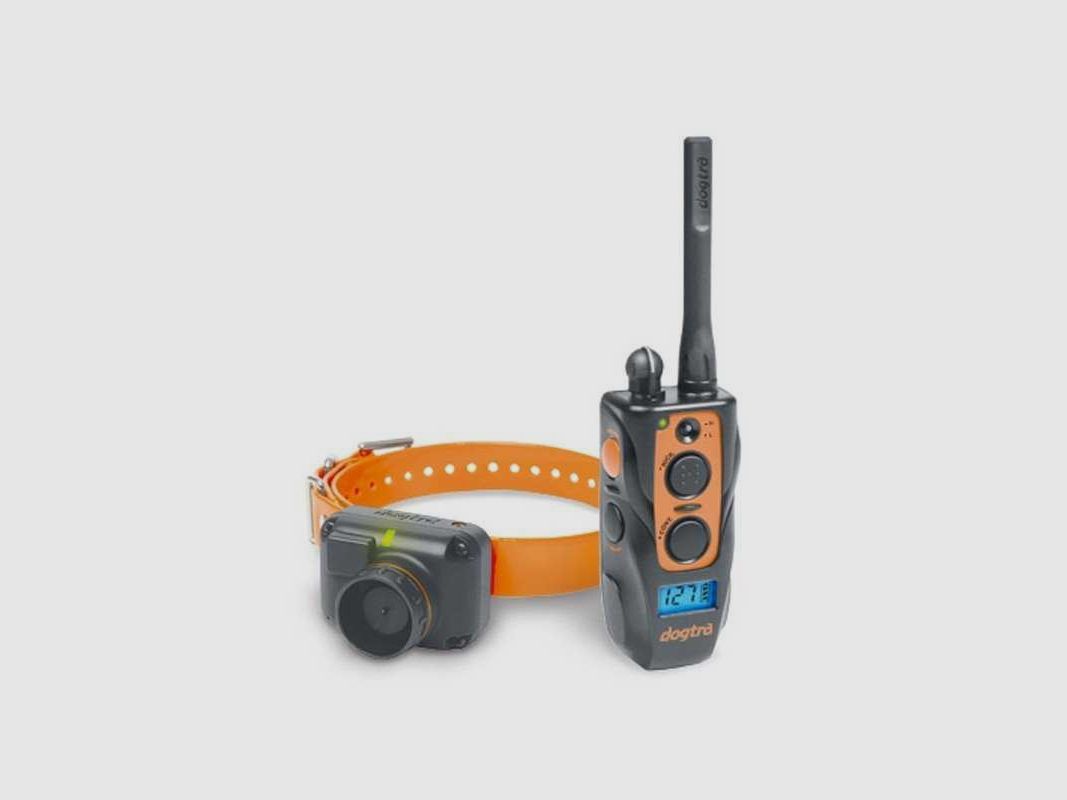 Collier éducatif et beeper Dogtra 2600 T&B