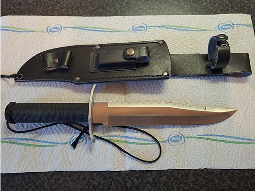 Combat knife with saw back