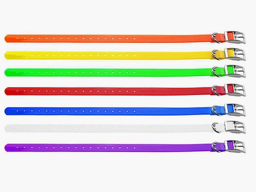Collier pour chien 2,5 cm en polyuréthane - Country - Collier Violet