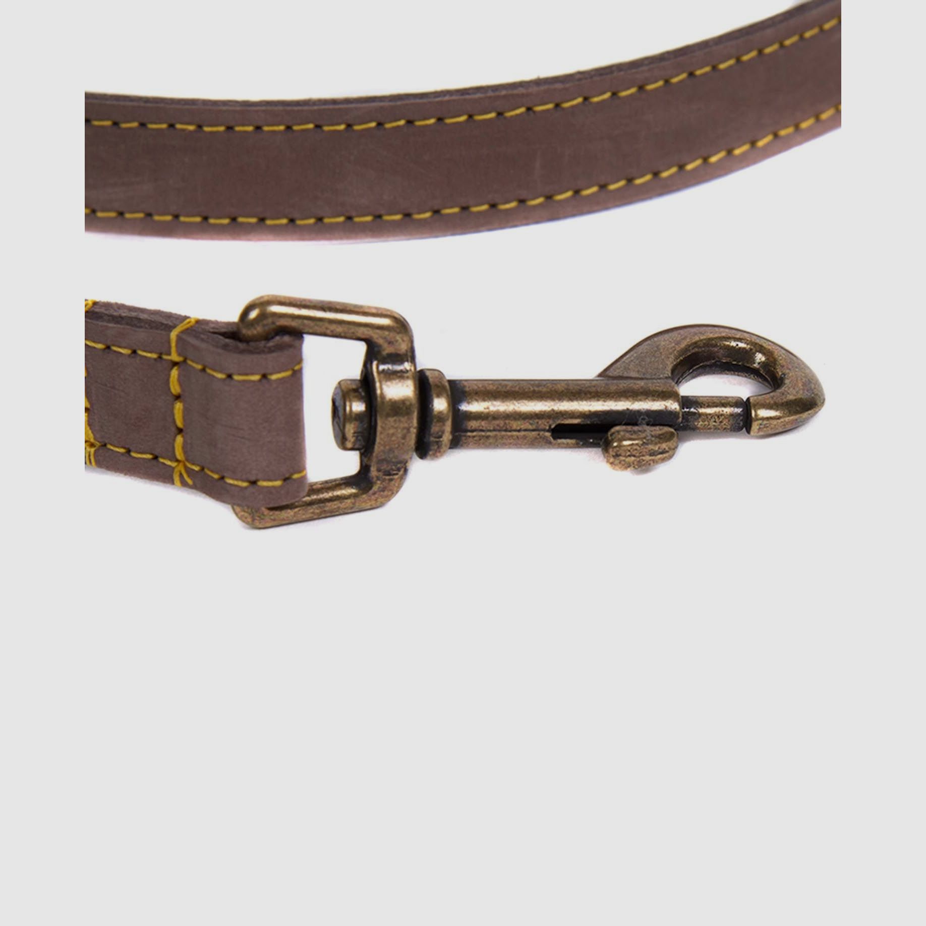 Correa para perro Barbour de cuero