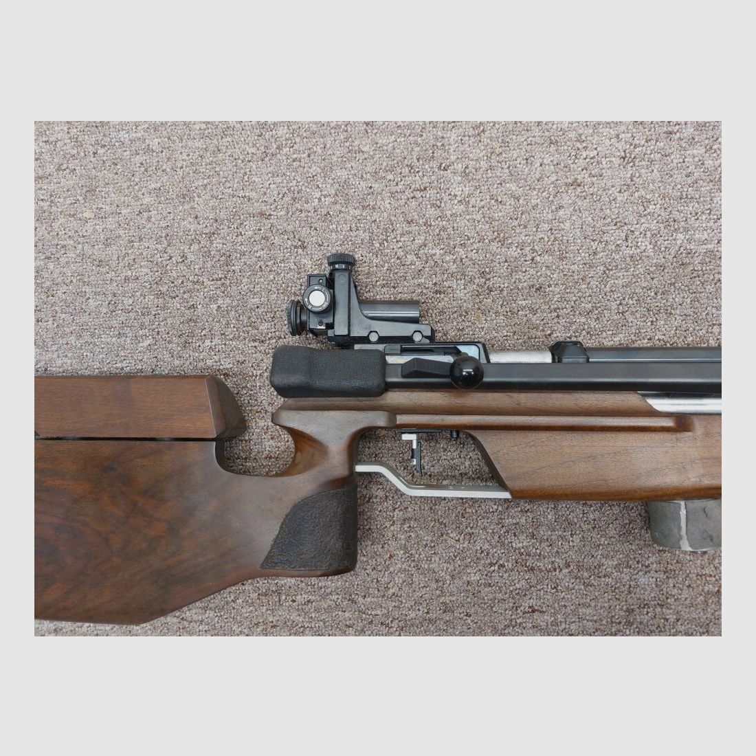 Diana 100