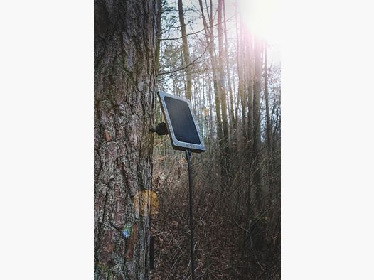 Seissiger Solarpanel für Wildkameras