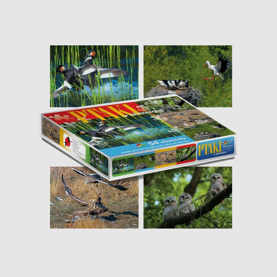 PUZZLE – VÖGEL 4X54