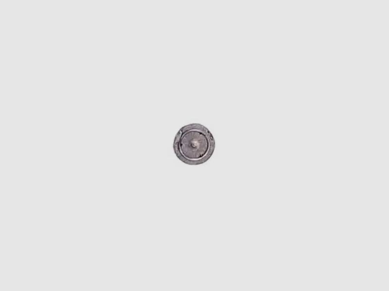ARG Slugs Hohlspitz 5,5 mm (.217) | 34 gr, Bild 7 von 12