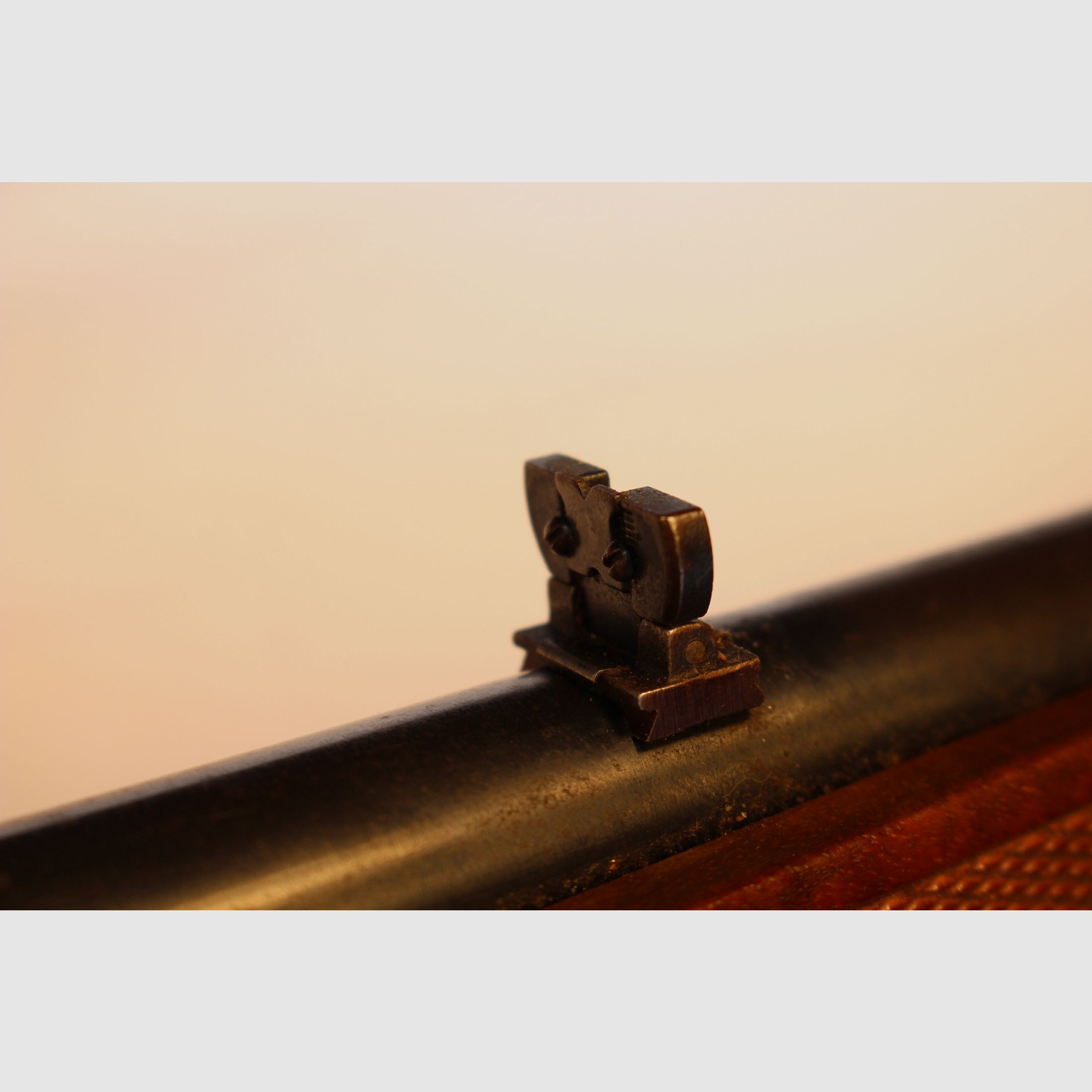 Bolt-action rifle in caliber 7x64.
