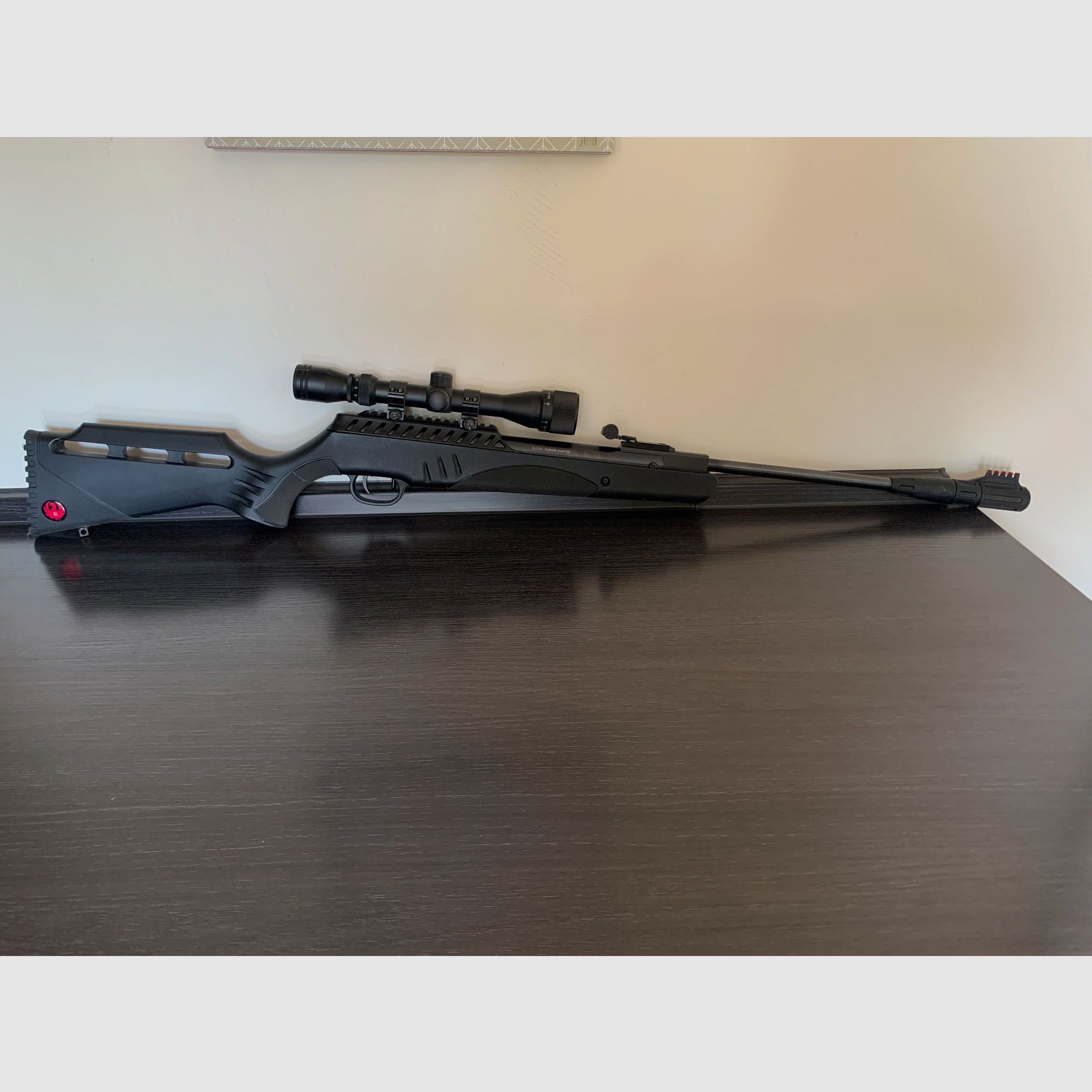 Luftgewehr Ruger Targis