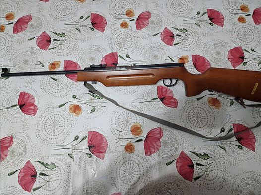 Modèle Haenel 310