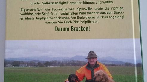 Buch-Review "Darum Bracken!"