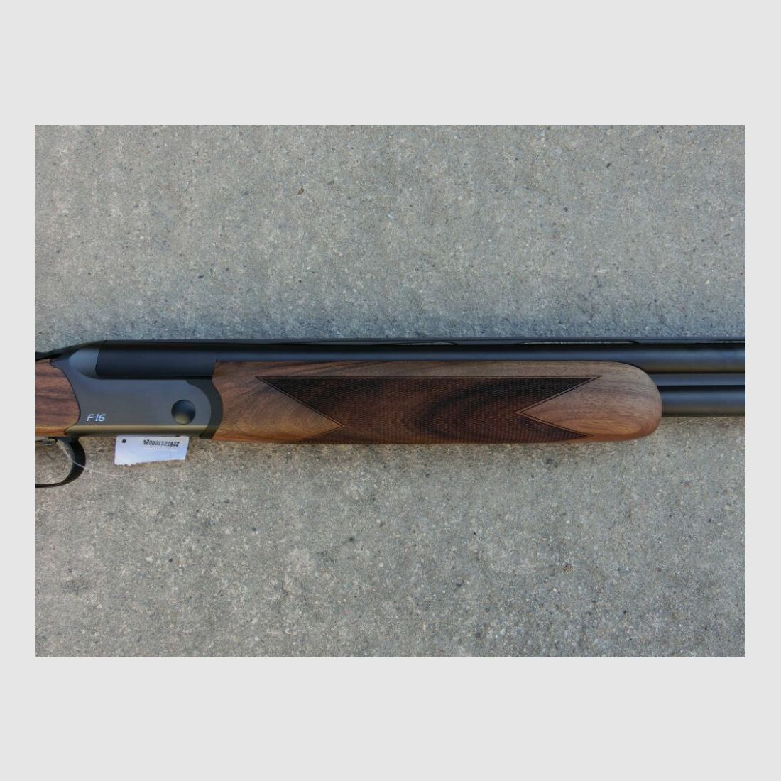 Blaser F16 Game