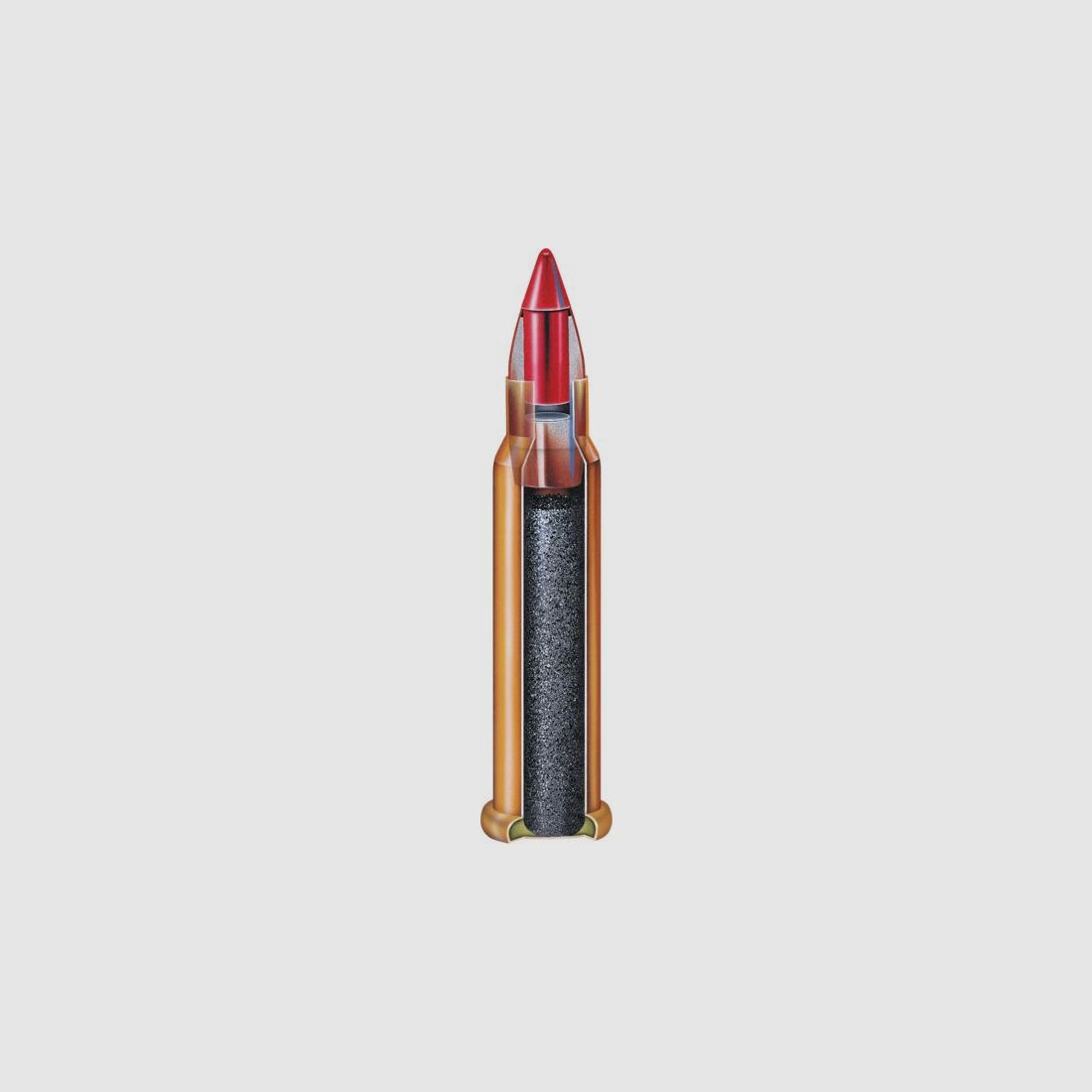 Hornady V-Max 30grs - 50Stk