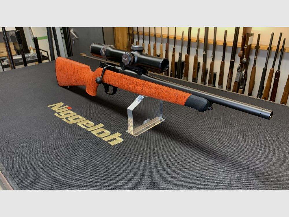 Blaser Professionale Caccia al Cinghiale
