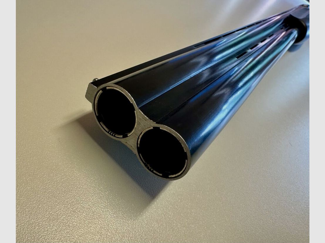 Favorito de caza del bosque