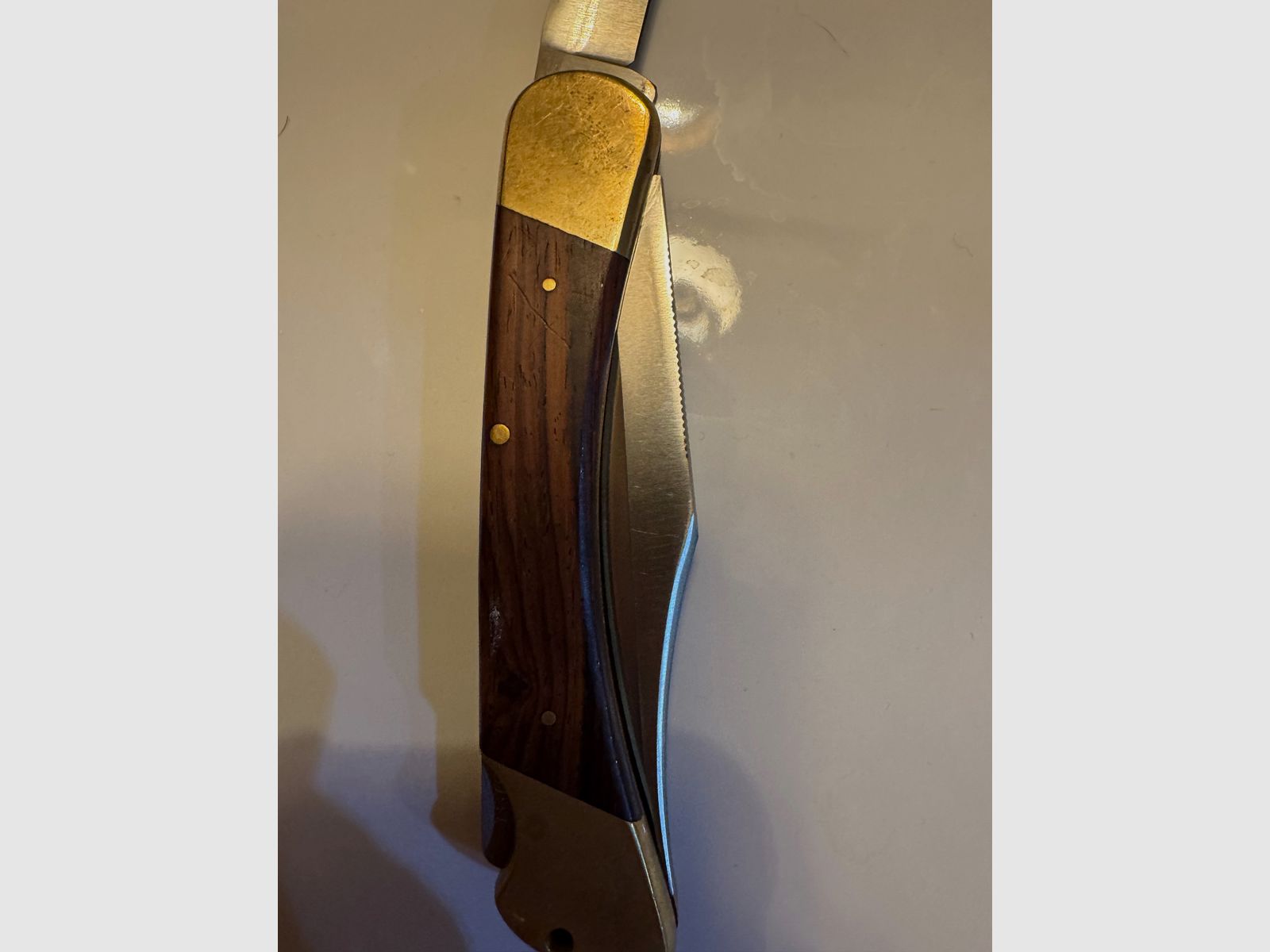 972 Puma Game Warden