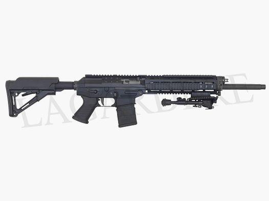 SIG-SAUER 556-H18B-DM (SEMI-AUTOMATIC ASSAULT RIFLE)