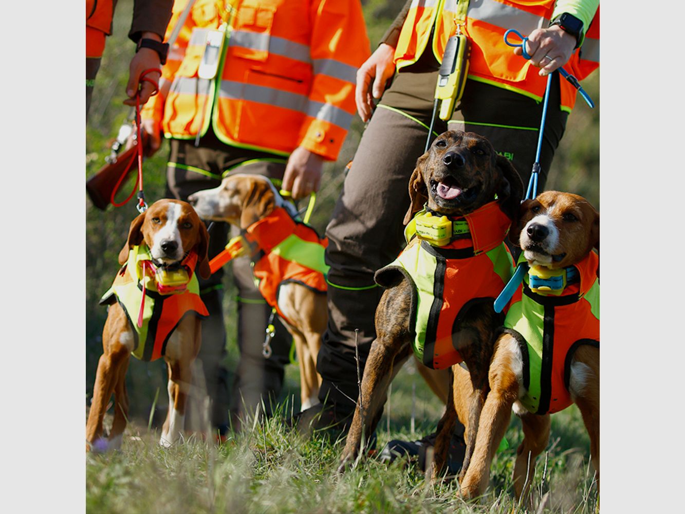 Protective vest for dogs Sicur Dog BITRABI 2xl, image 7 of 7