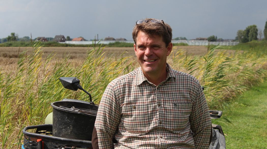 Auf Nutria an Nebenarmen der Elbe