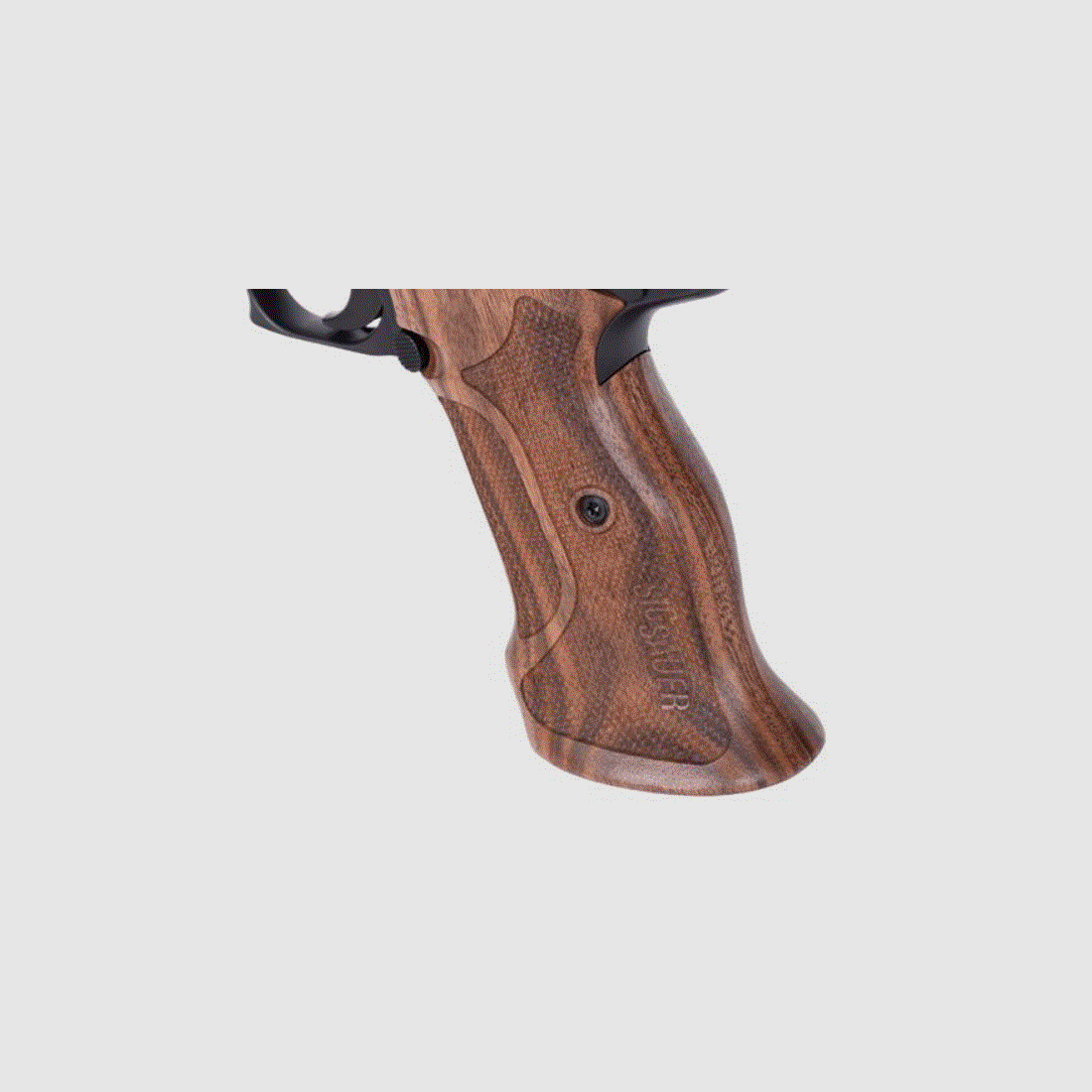 Sig Sauer P210 Target