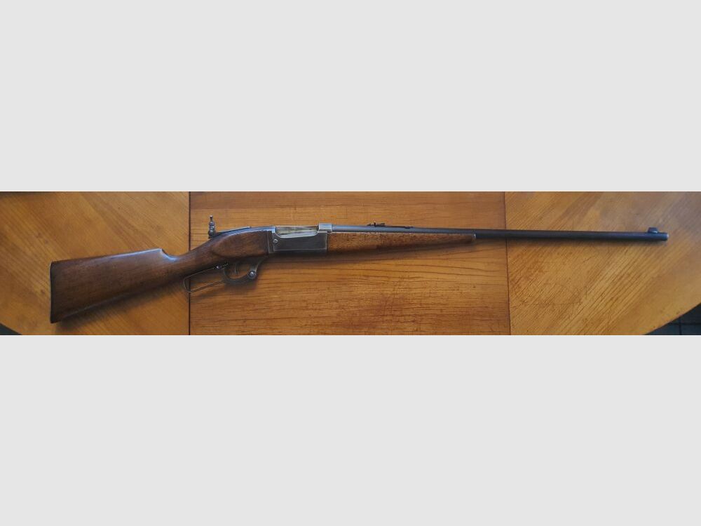 Savage 1899