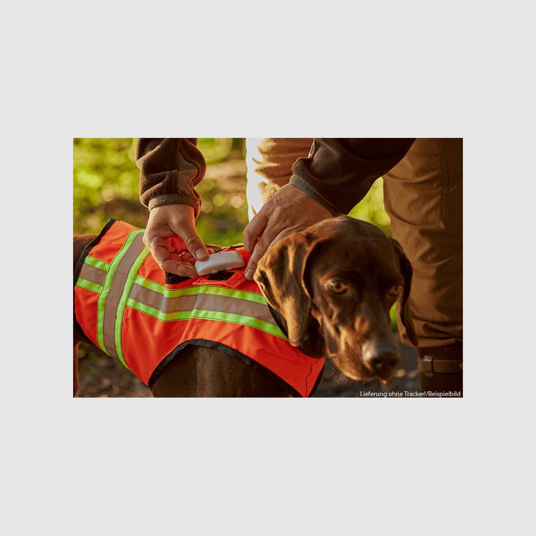 Signal-Hundeweste mit Trackerfach