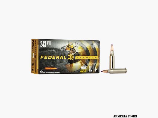 FEDERAL – 243WIN (NOSLER BALLISTIC TIP) 95gr (20PZ) -P243J