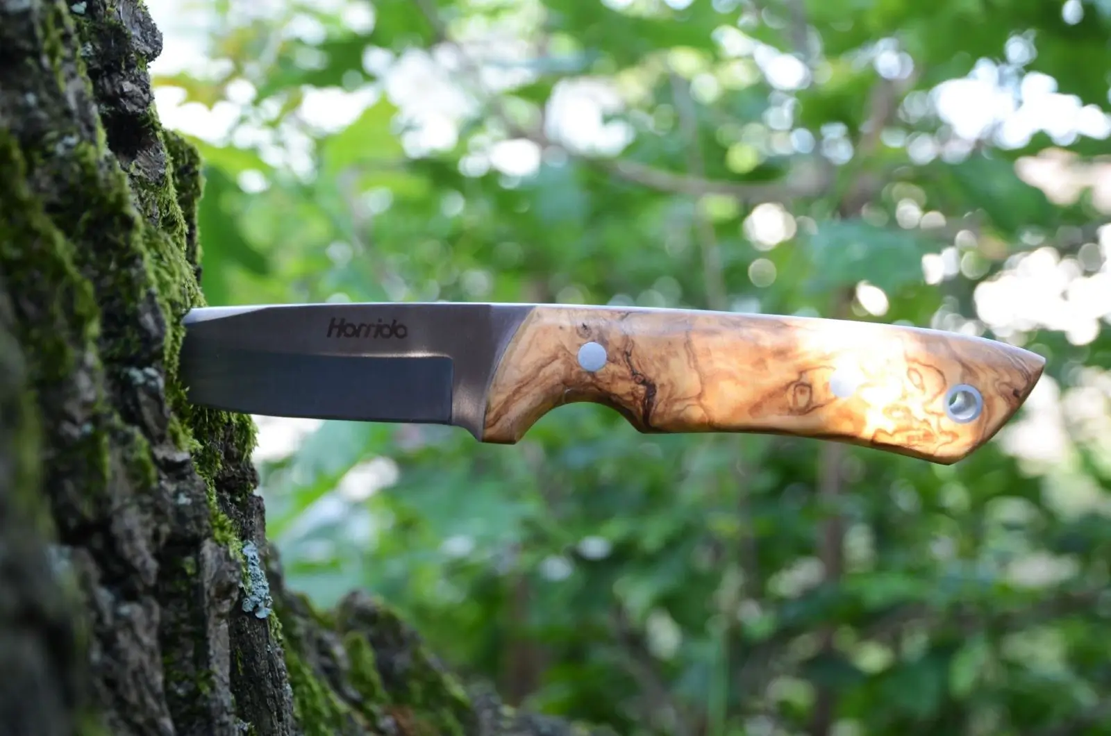 Horrido hunting knife Lobo, image 3 of 5
