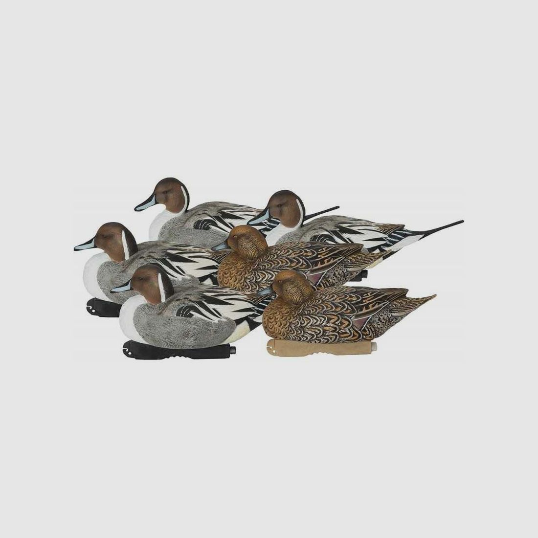 KIT 6 Formen Codone GHG Pro-Grade Gadwall Decoys