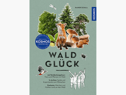 Libro "Felicidad en el Bosque - Guía Interactiva"