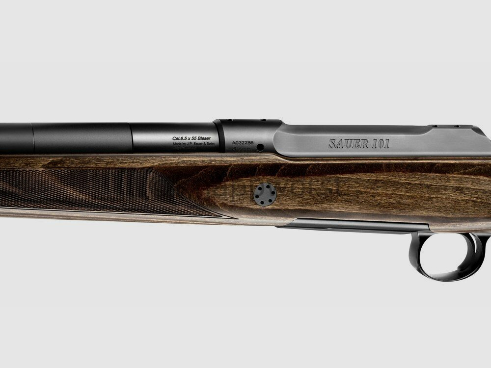 Sauer & Sohn	 Sauer 101 GTI Silence