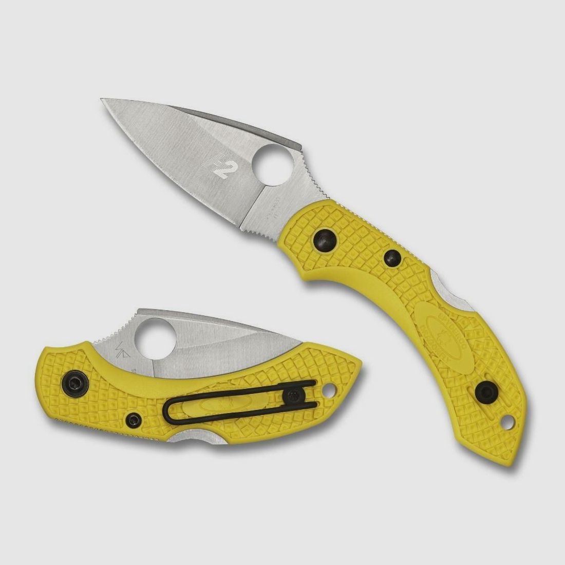 Spyderco Dragonfly 2 SALT Plain, image 2 of 3