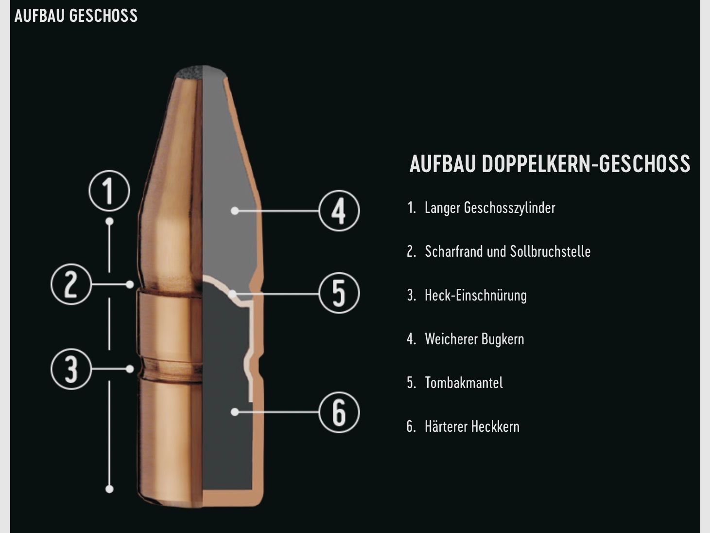 RWS 2117908 Doppelkern .308 Win. 10,7g 165gr Büchsenmunition 20 Stk.