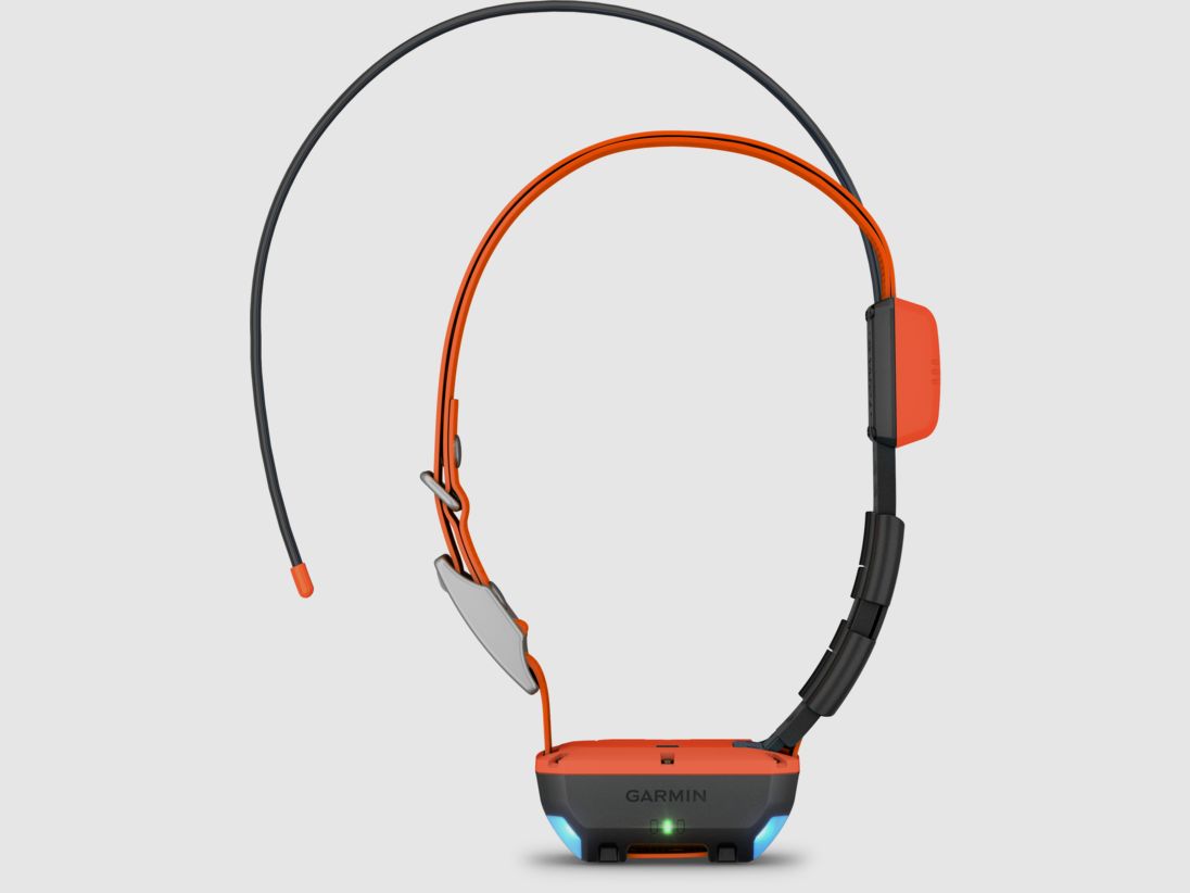Collar de localización para perros Garmin Alpha T20K