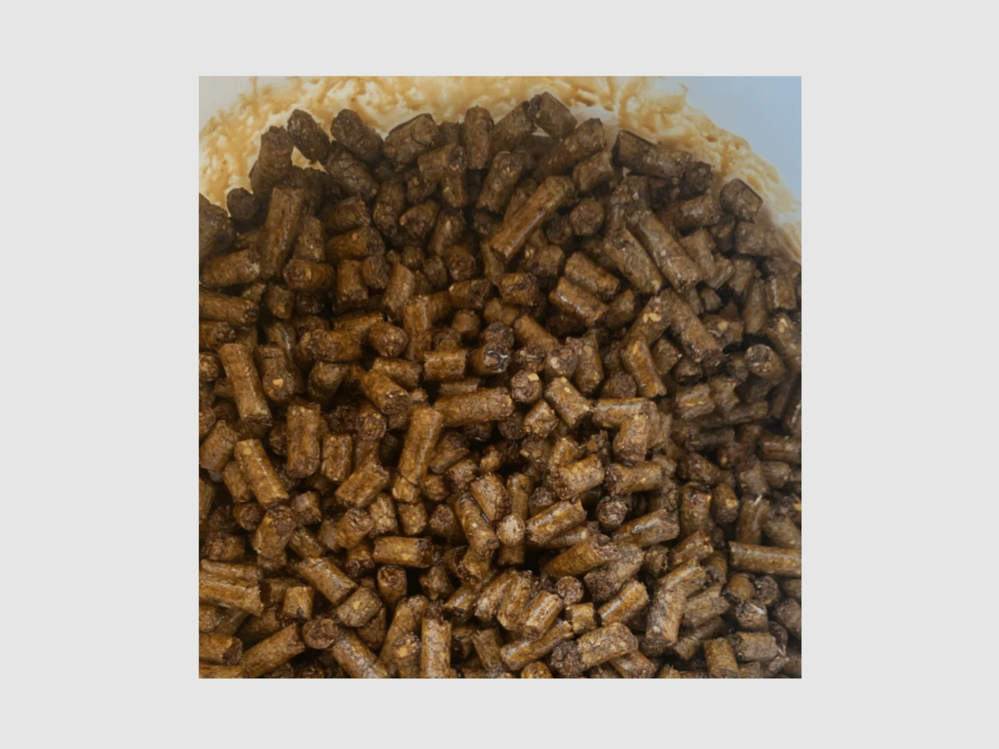 Atrayente para jabalís húmedo NaturHunt Granulado, imagen 2 de 2