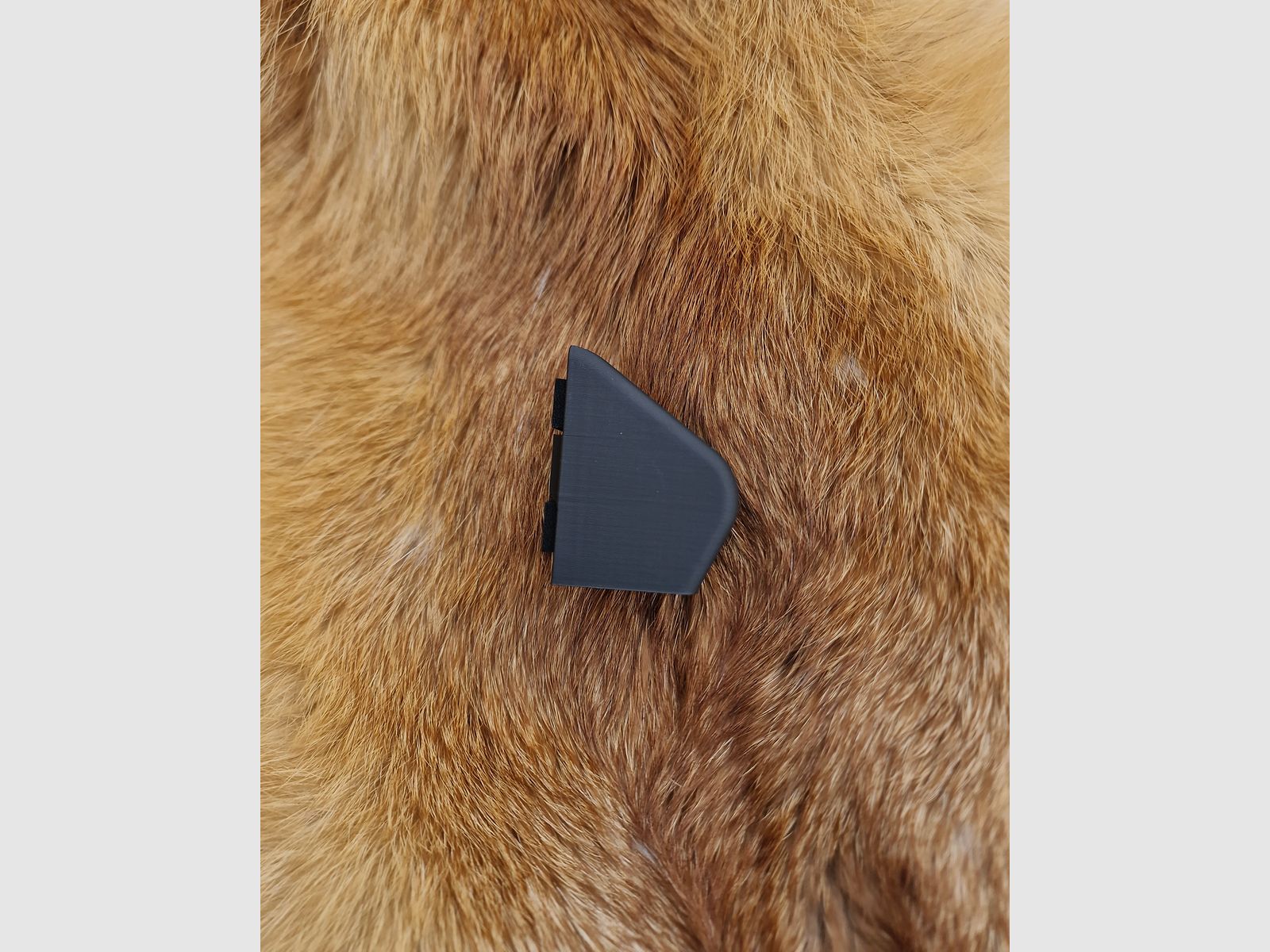 Supporto per testa bullone - Sauer 404