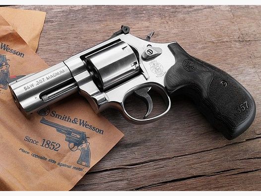 Smith & Wesson 686 Plus